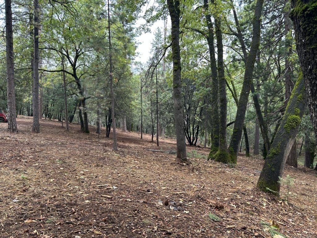 Project Notice: Forest Ranch - Forest Knolls Mastication Project