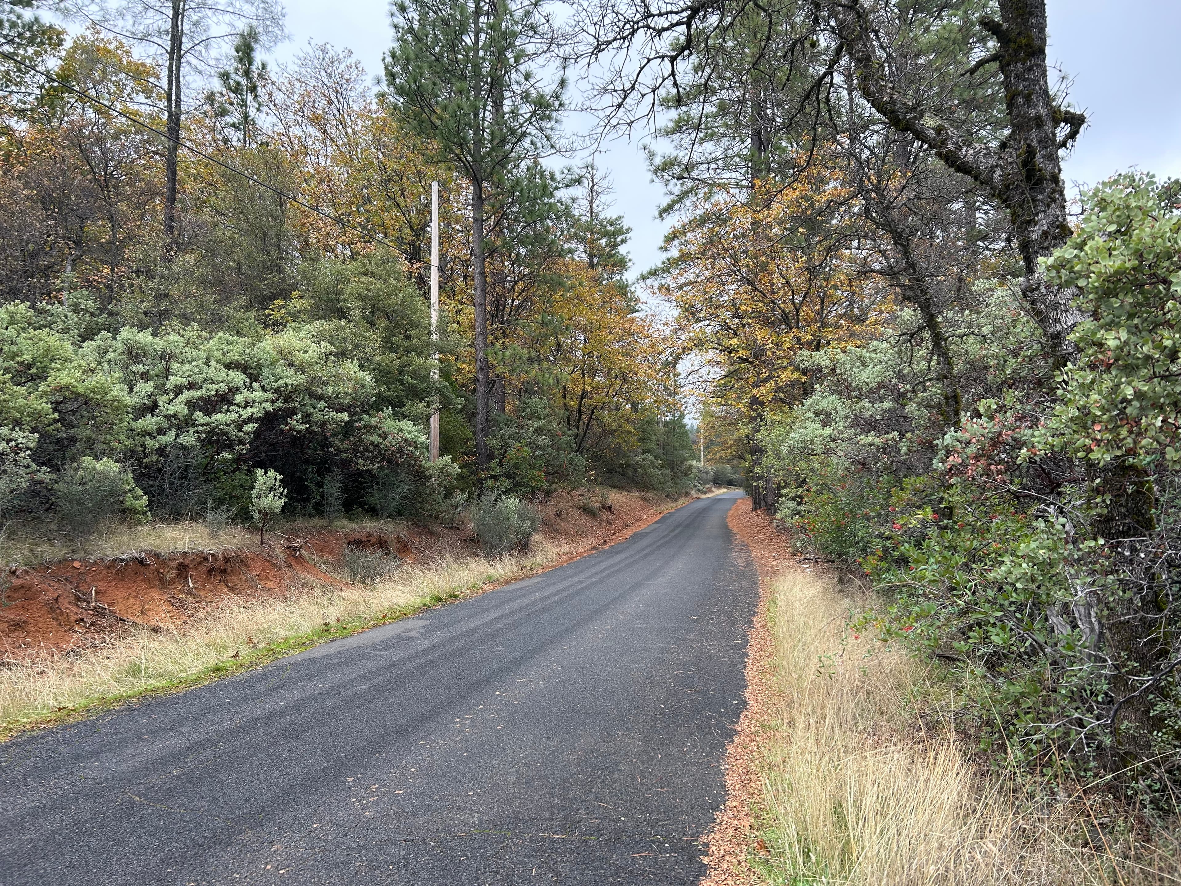 Project Notice: Robinson Mill Roadside Project