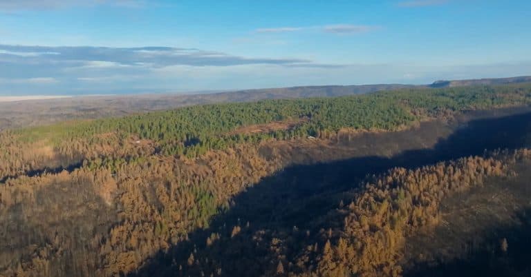 Sierra Nevada Conservancy Funded Fuel Treatments Protected Butte County Communities from Park Fire