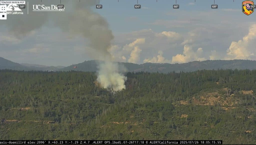 Forest Health Strategy in Action: The Center Fire
