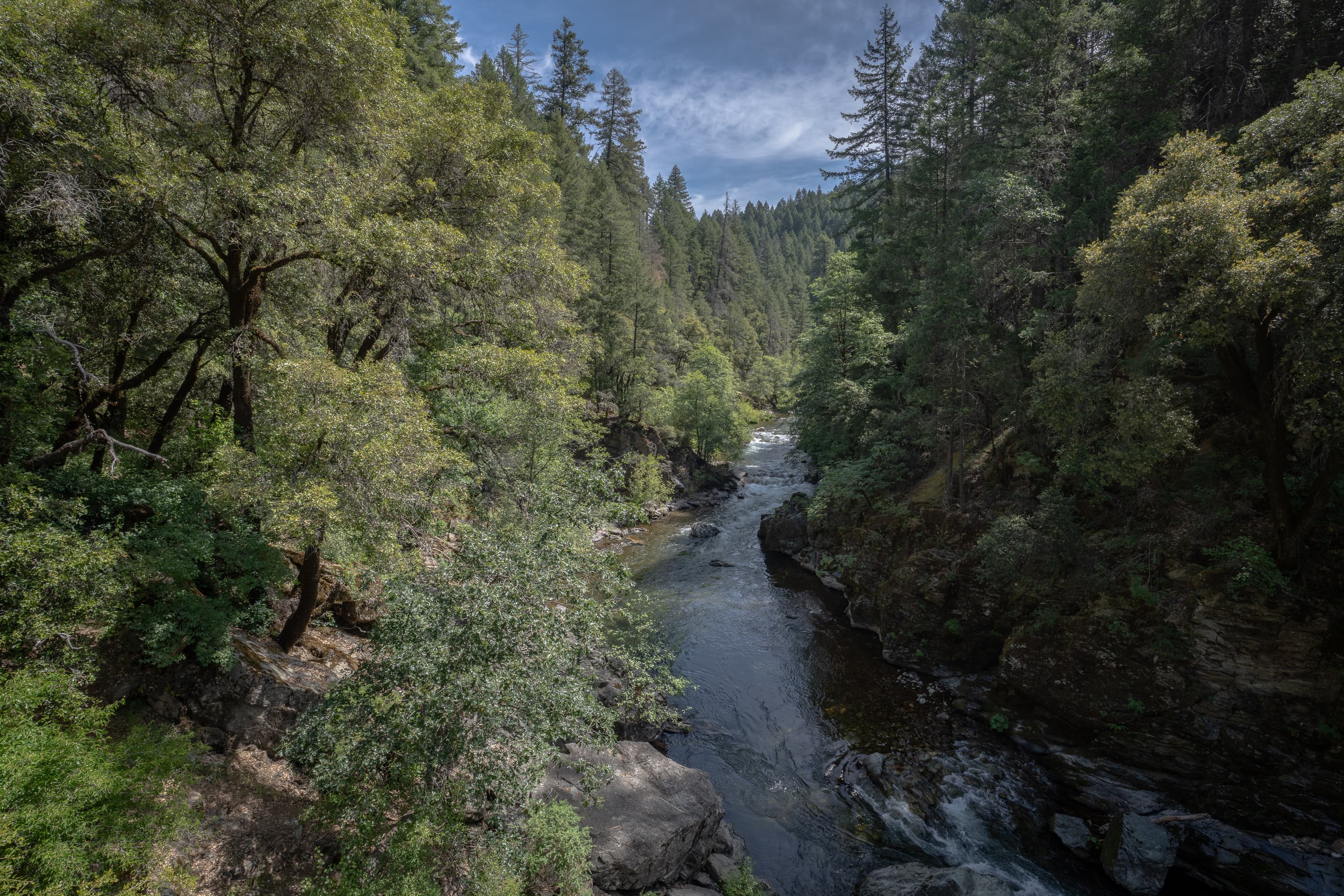 Butte Creek headwaters