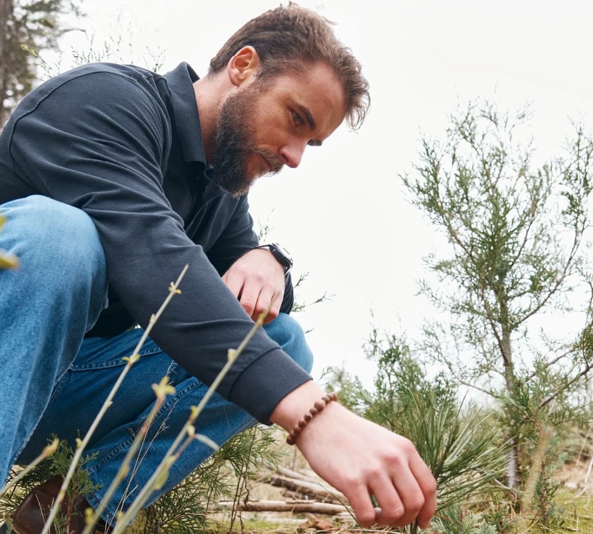 Tending to young forest growth